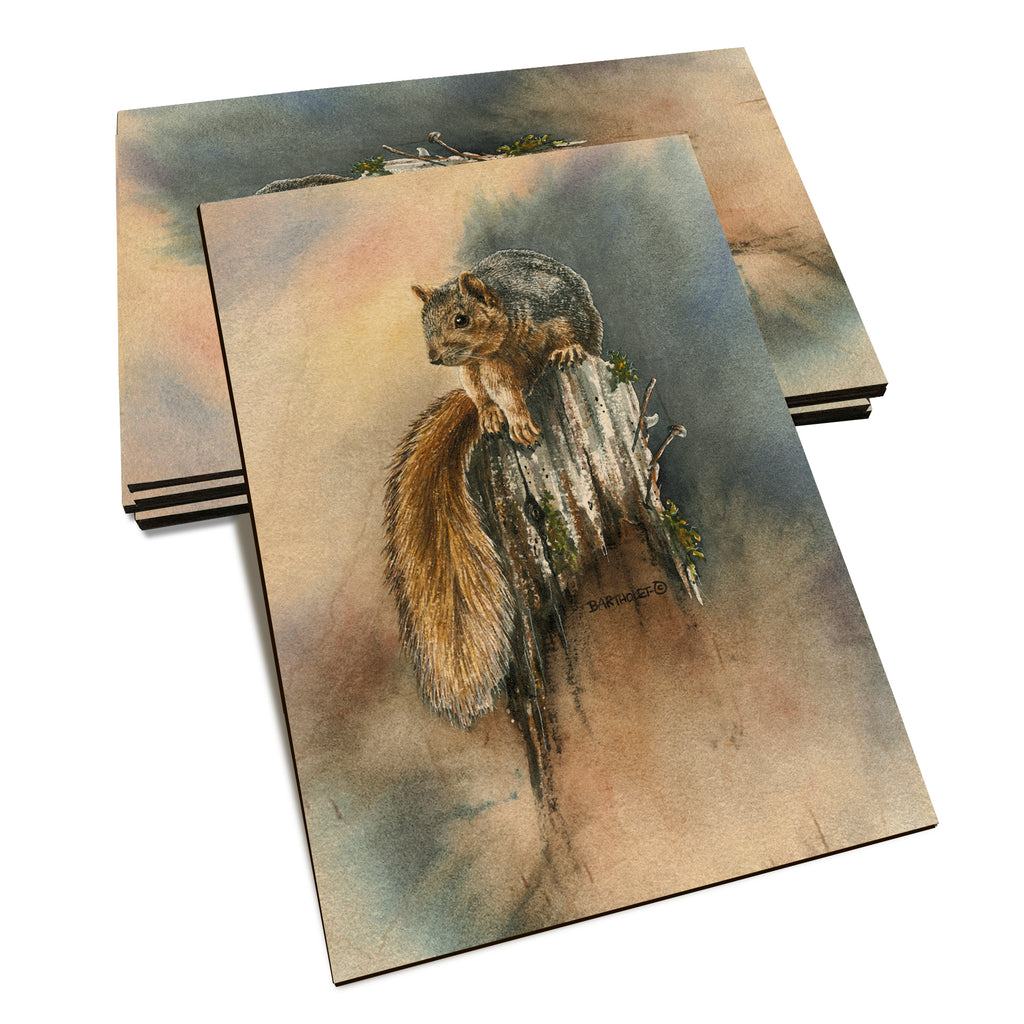 Bartholet's Grey Squirrel  - Classic Edge Classic Edge Postcard (5pk // $2.80ea)