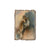 Bartholet's Grey Squirrel - Rustic Edge Postcards & Magnets Rustic Edge Magnet (5pk // $2.80ea)