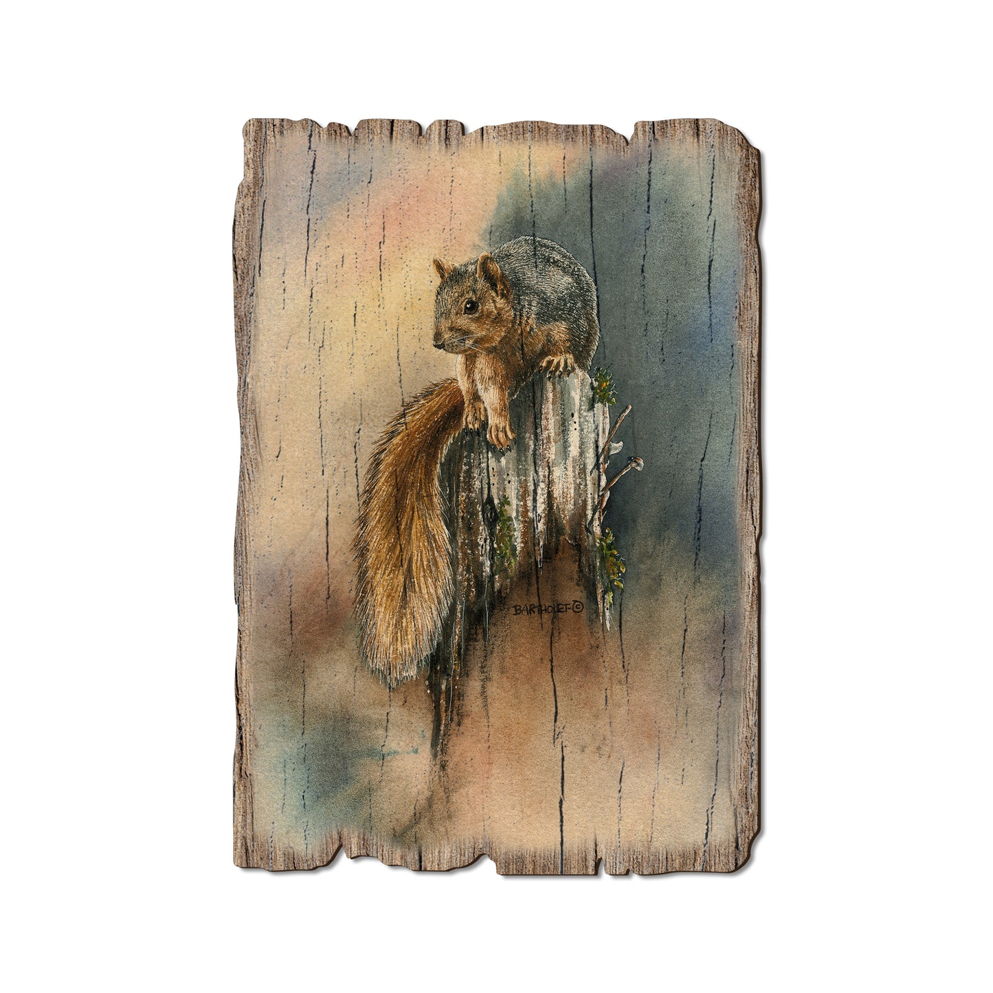Bartholet's Grey Squirrel - Rustic Edge Postcards & Magnets Rustic Edge Postcard (5pk // $2.80ea)