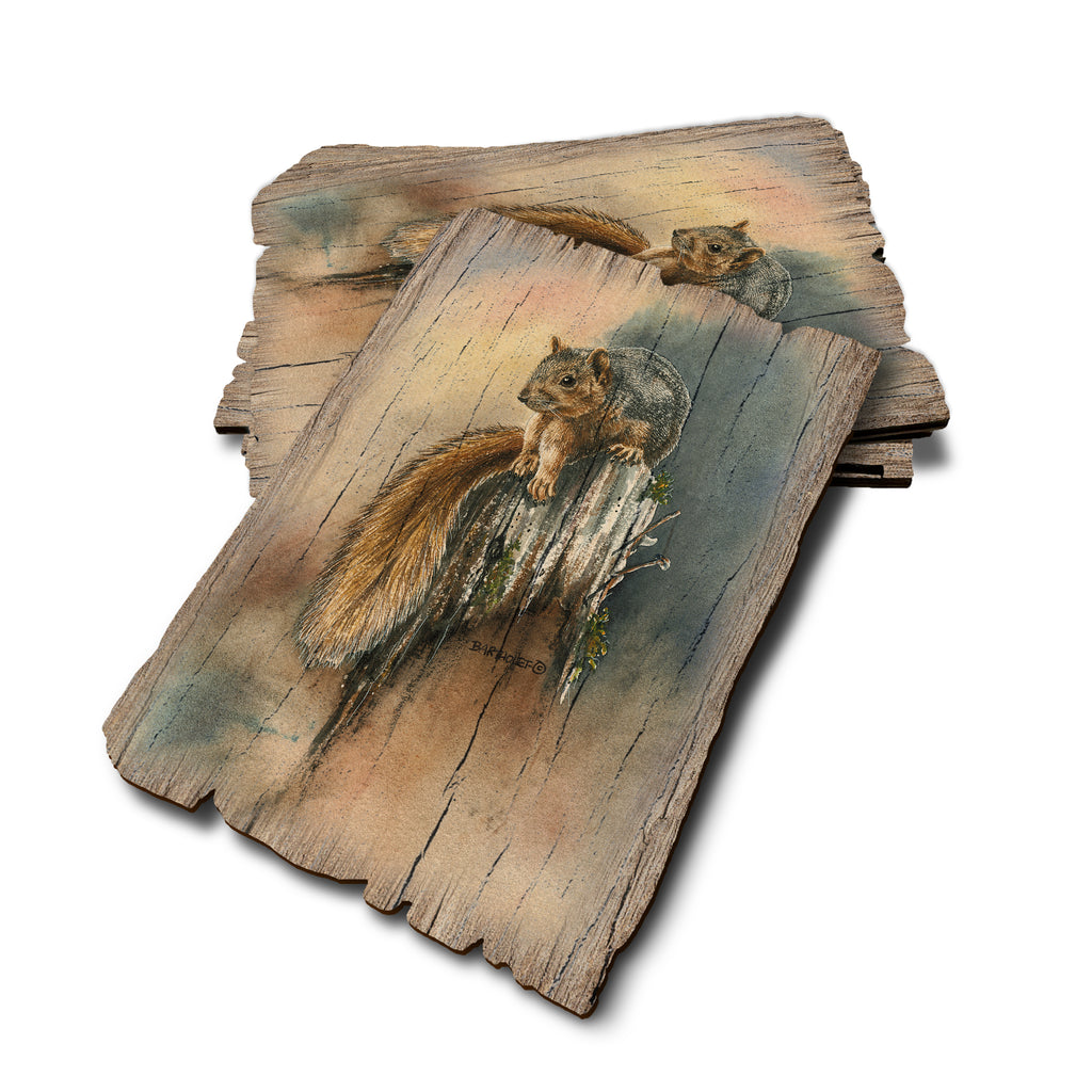 Bartholet's Grey Squirrel - Weathered Edge Rustic Edge Postcard (5pk // $2.80ea)