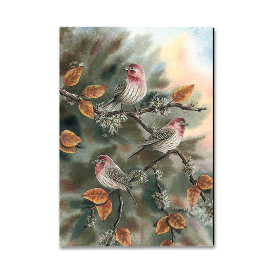Magnet: Classic Edge - Bartholet's House Finches