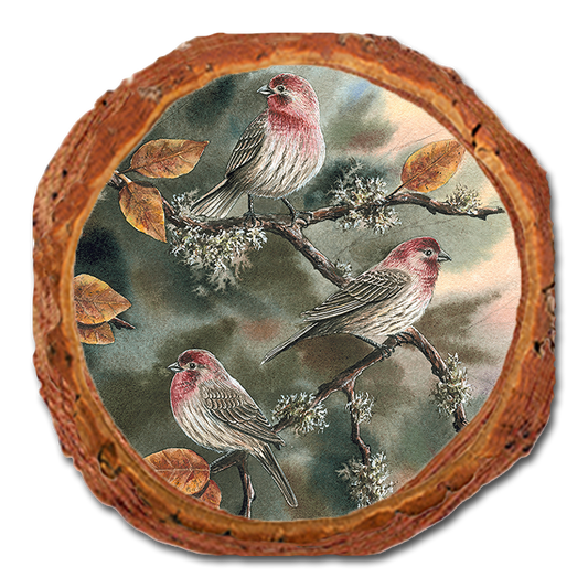 Coaster: Live Edge - Bartholet's House Finches