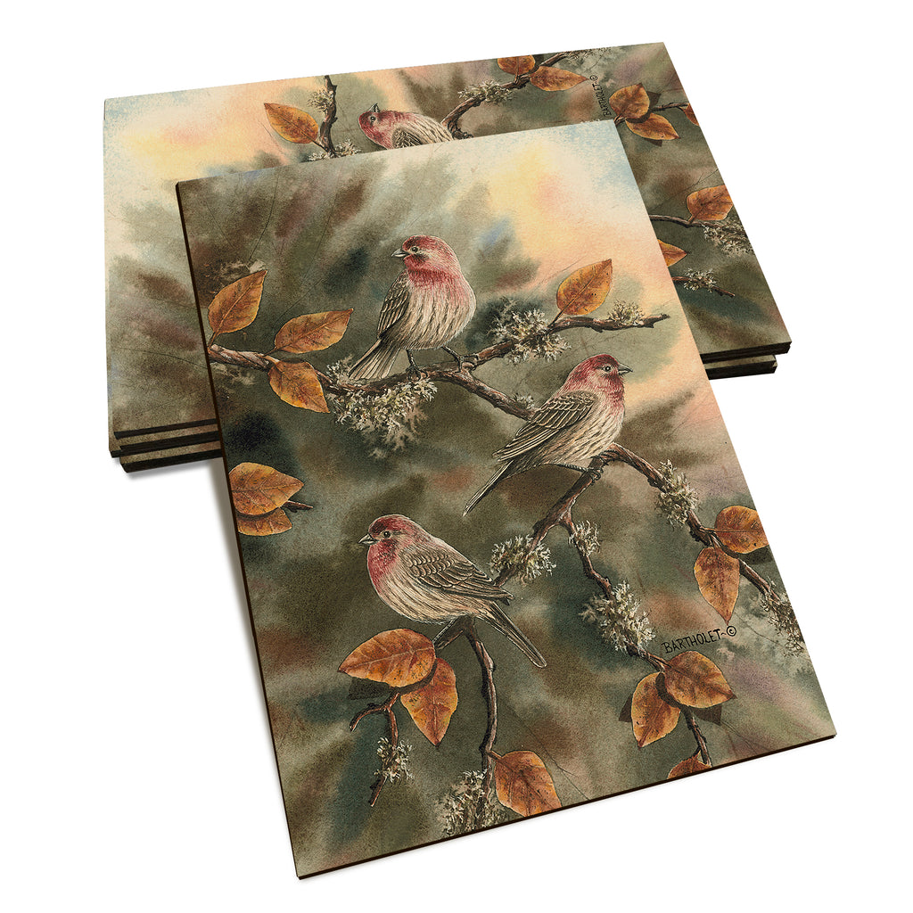 Bartholet's House Finches  - Classic Edge Classic Edge Postcard (5pk // $2.80ea)