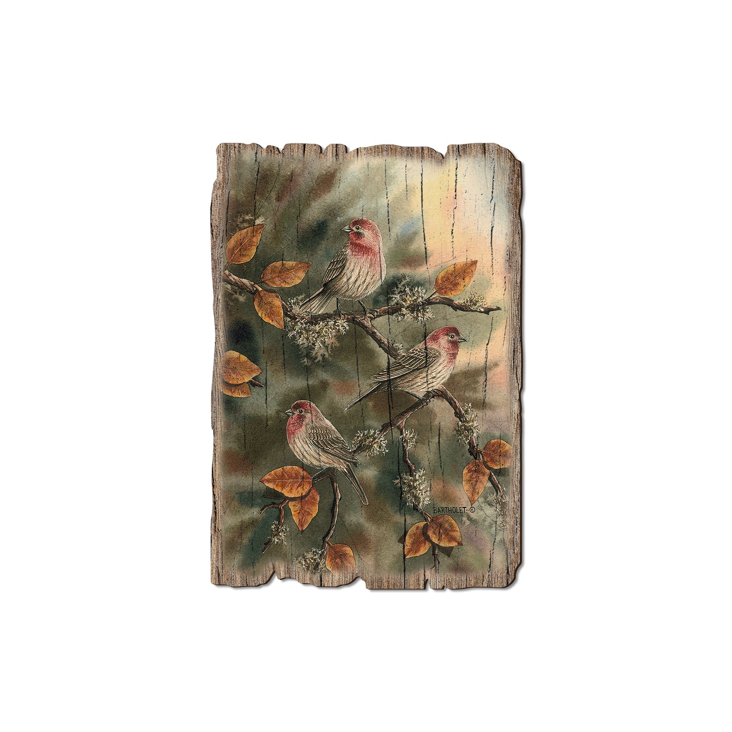 Bartholet's House Finches - Rustic Edge Postcards & Magnets Rustic Edge Magnet (5pk // $2.80ea)
