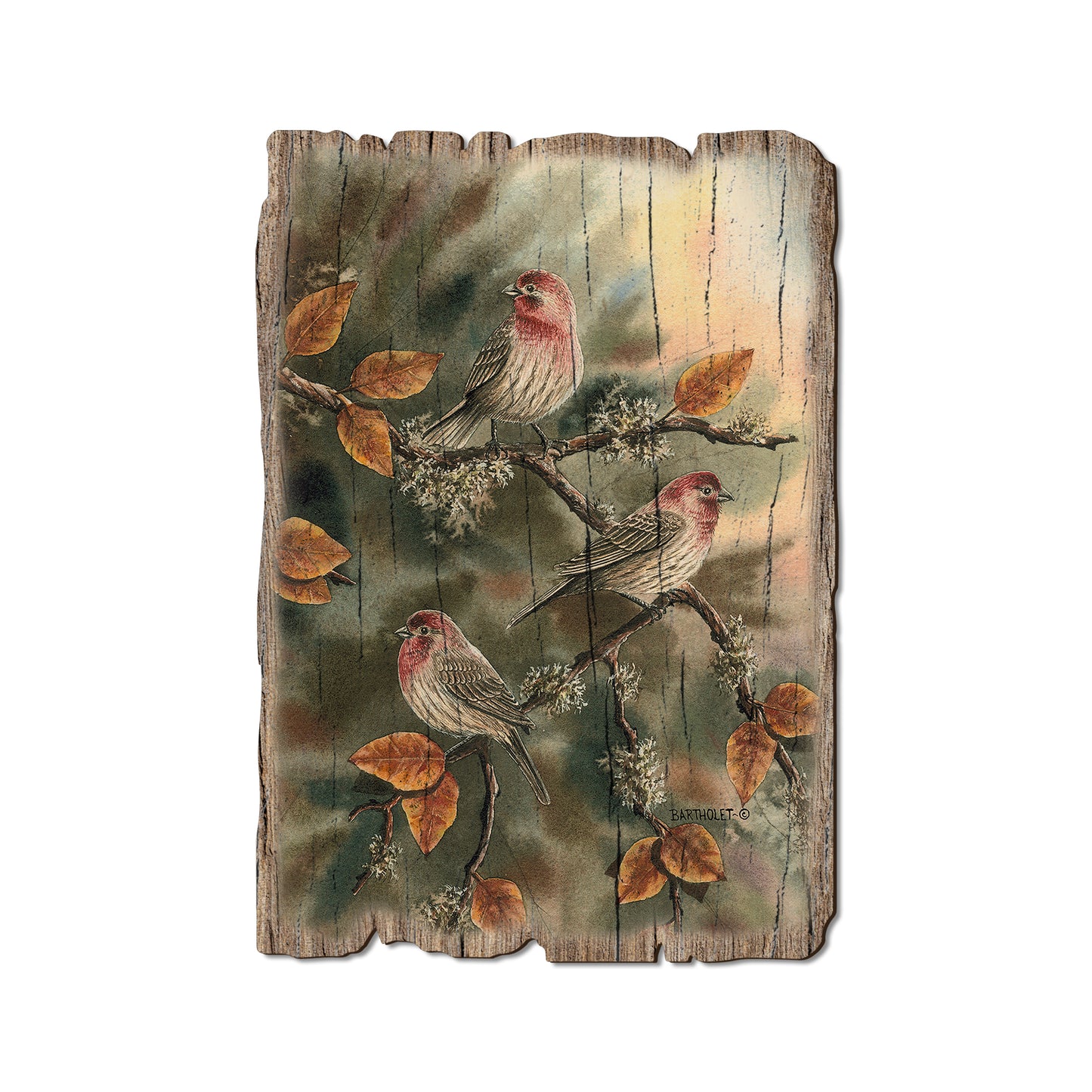 Bartholet's House Finches - Rustic Edge Postcards & Magnets Rustic Edge Postcard (5pk // $2.80ea)