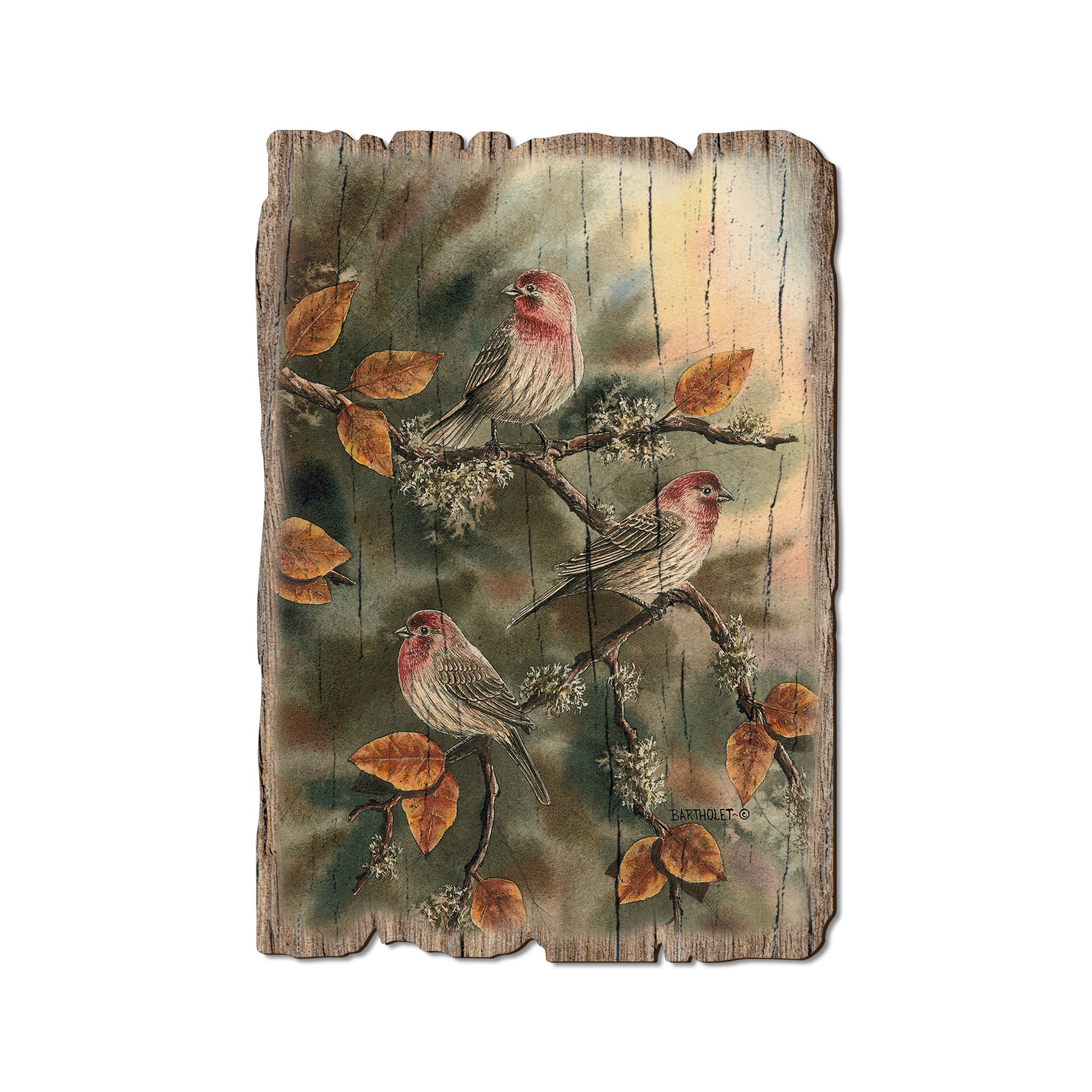 Bartholet's House Finches - Rustic Edge Postcards & Magnets Rustic Edge Postcard (5pk // $2.80ea)