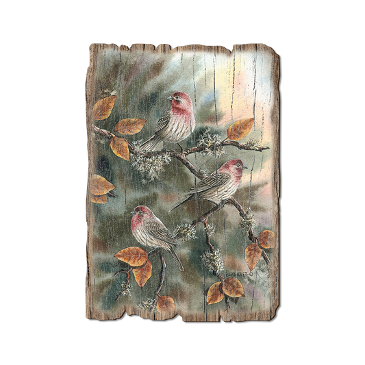 Greeting Card: Weathered Edge - Bartholet's House Finches