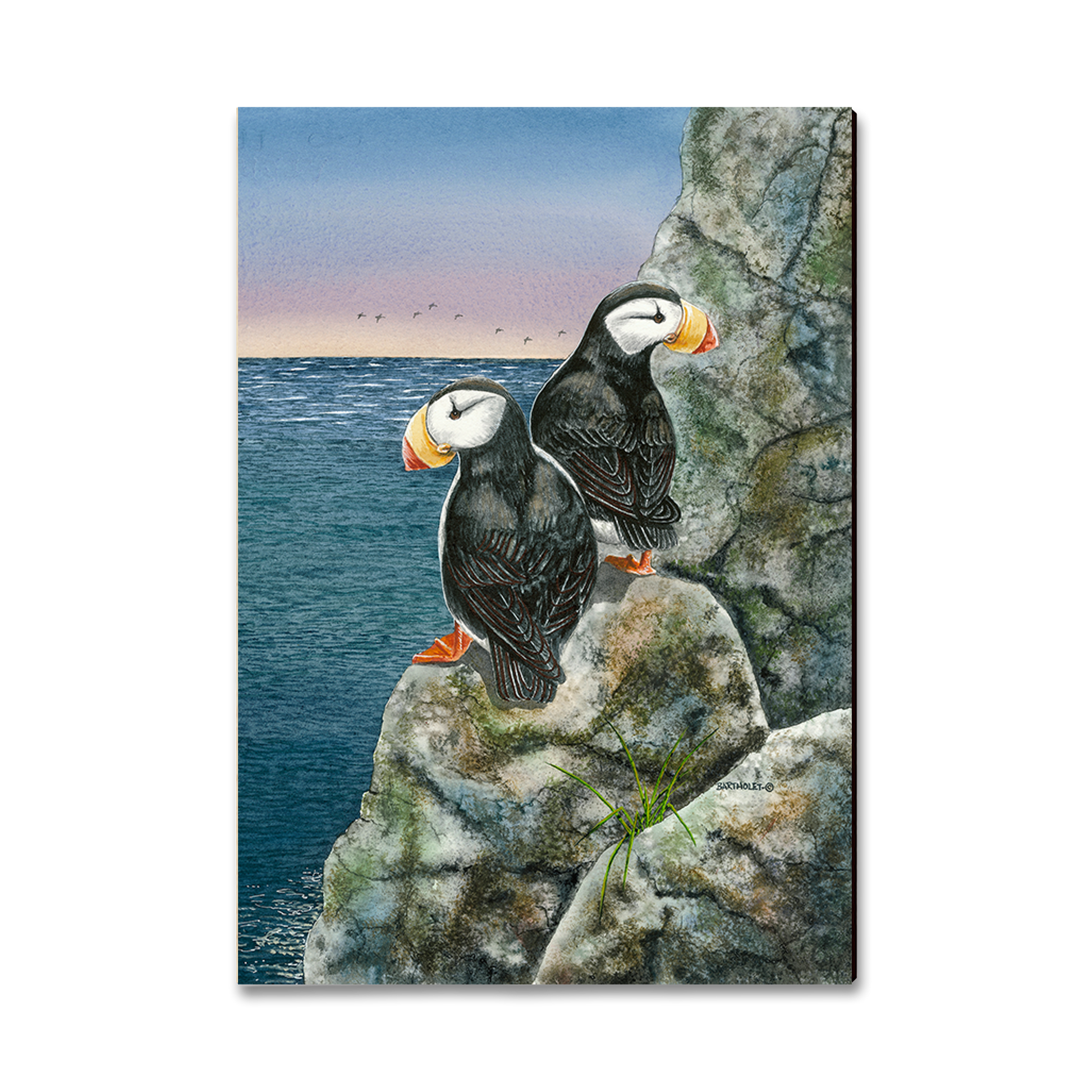 Ornament: Classic Edge - Bartholet's Horned Puffins