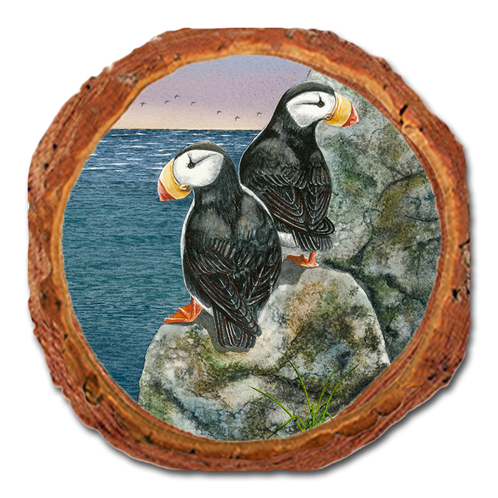 Coaster: Live Edge - Bartholet's Horned Puffins