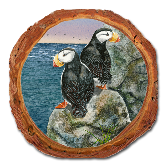 Coaster: Live Edge - Bartholet's Horned Puffins
