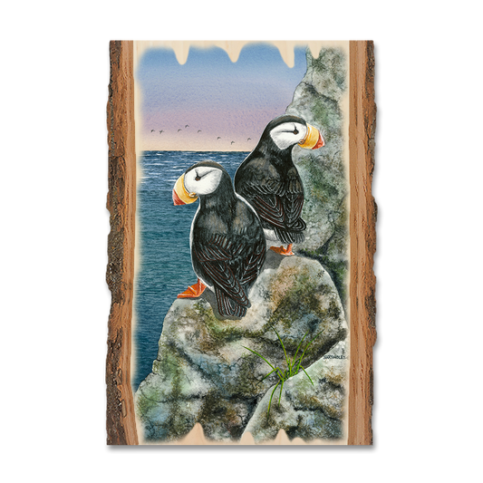 Magnet: Live Edge - Bartholet's Horned Puffins