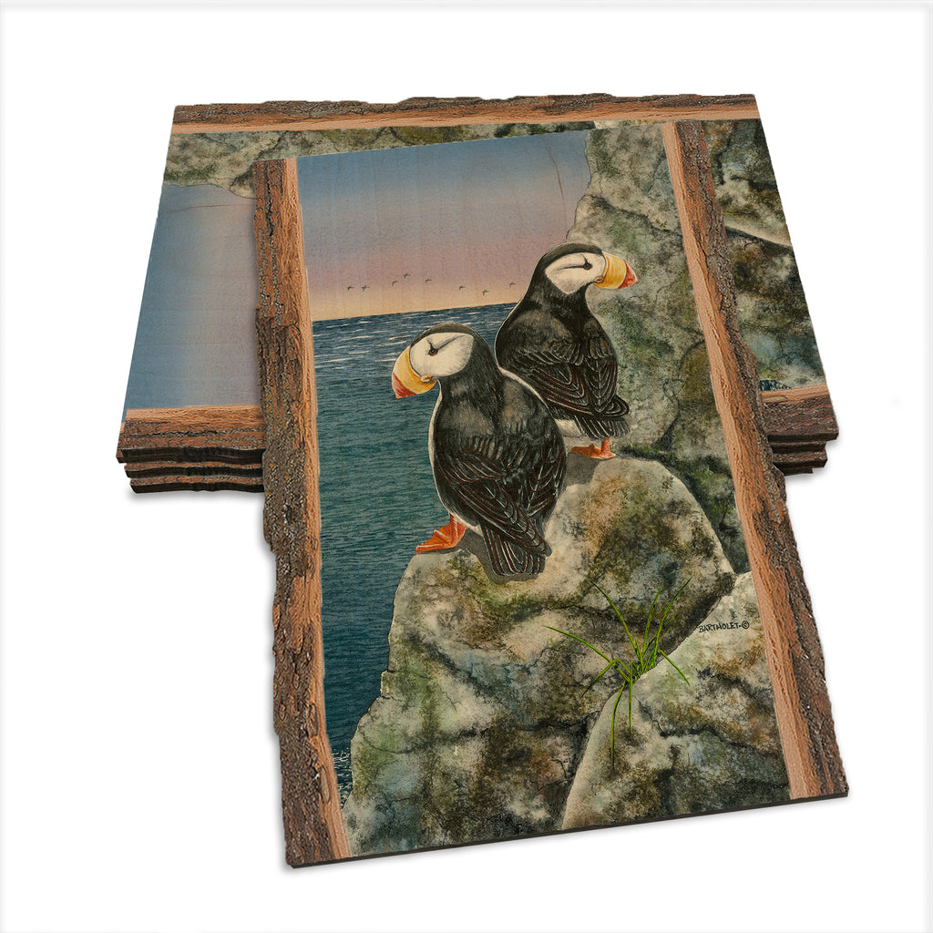 Bartholet's Horned Puffins  - Live Edge Live Edge Postcard (5pk // $2.80ea)