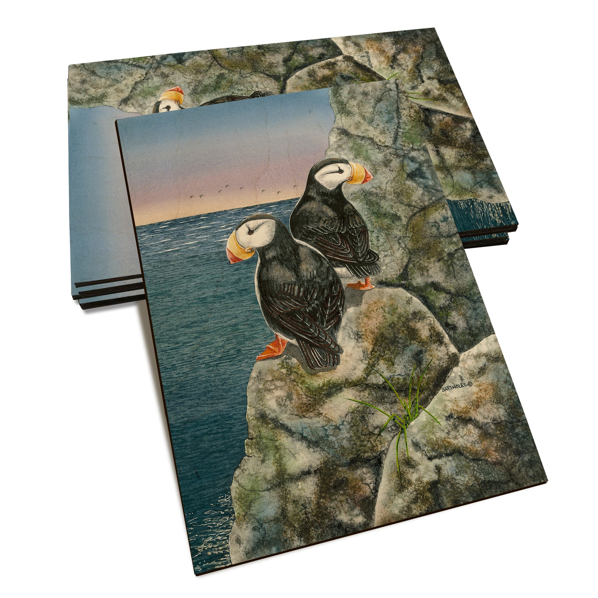 Bartholet's Horned Puffins  - Classic Edge Classic Edge Postcard (5pk // $2.80ea)