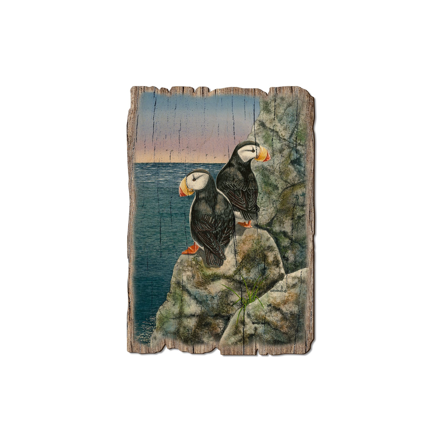 Bartholet's Horned Puffins - Rustic Edge Postcards & Magnets Rustic Edge Magnet (5pk // $2.80ea)