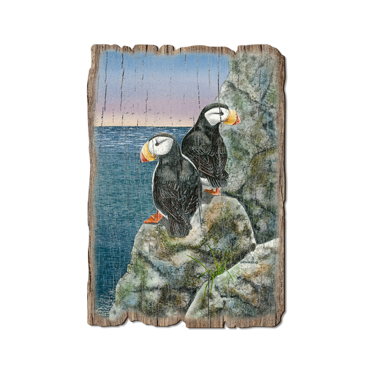 Greeting Card: Weathered Edge - Bartholet's Horned Puffins