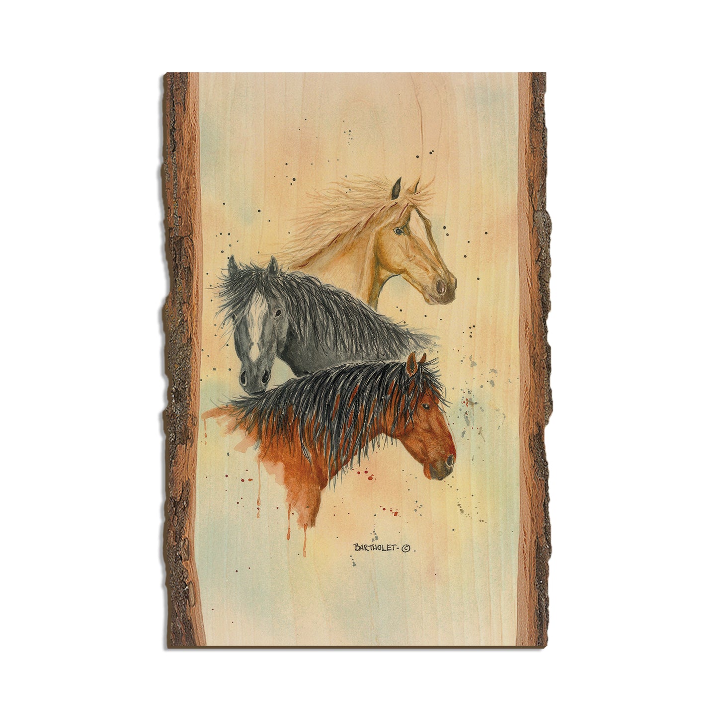 Bartholet's Horse Trio  - Live Edge Live Edge Postcard (5pk // $2.80ea)