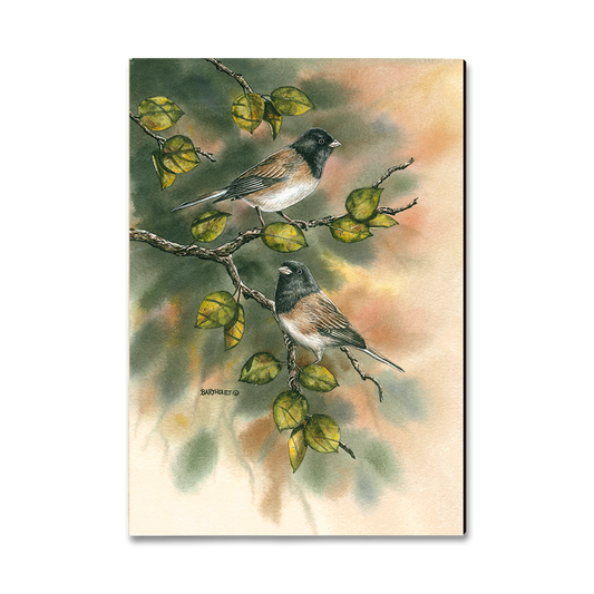 Greeting Card: Classic Edge - Bartholet's Juncos