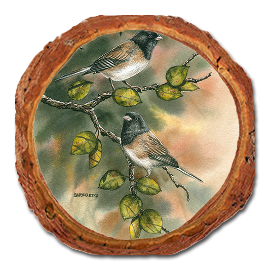 Coaster: Live Edge - Bartholet's Juncos (Pack of 5)