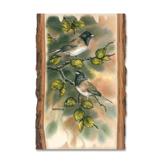 Magnet: Live Edge - Bartholet's Juncos