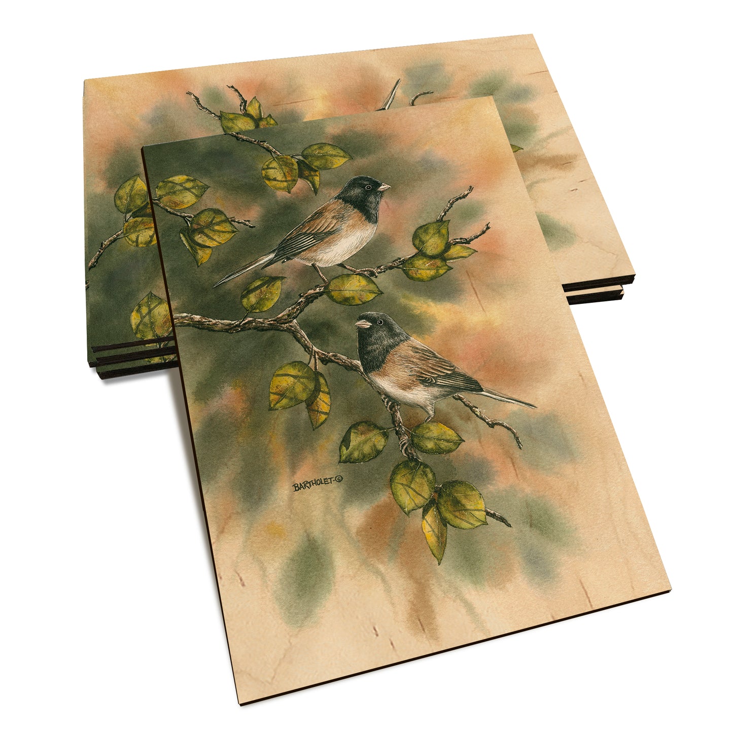 Bartholet's Juncos  - Classic Edge Classic Edge Postcard (5pk // $2.80ea)