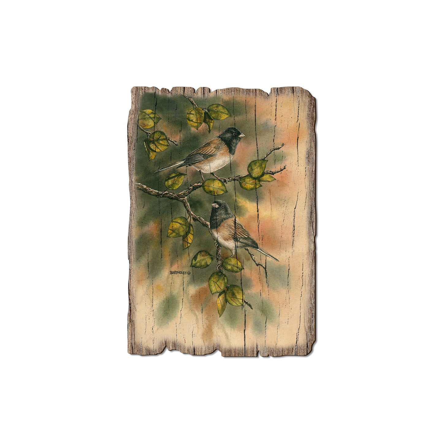Bartholet's Juncos - Rustic Edge Postcards & Magnets Rustic Edge Magnet (5pk // $2.80ea)