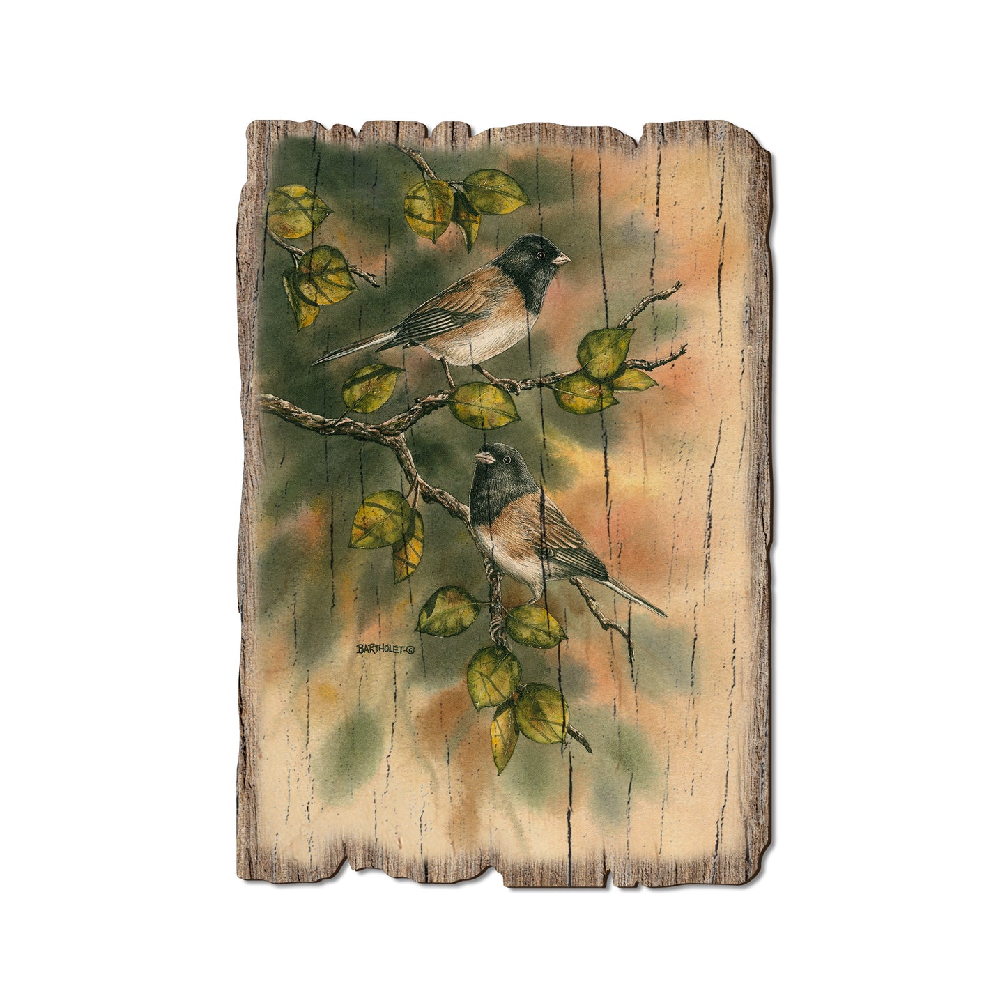 Bartholet's Juncos - Rustic Edge Postcards & Magnets Rustic Edge Postcard (5pk // $2.80ea)