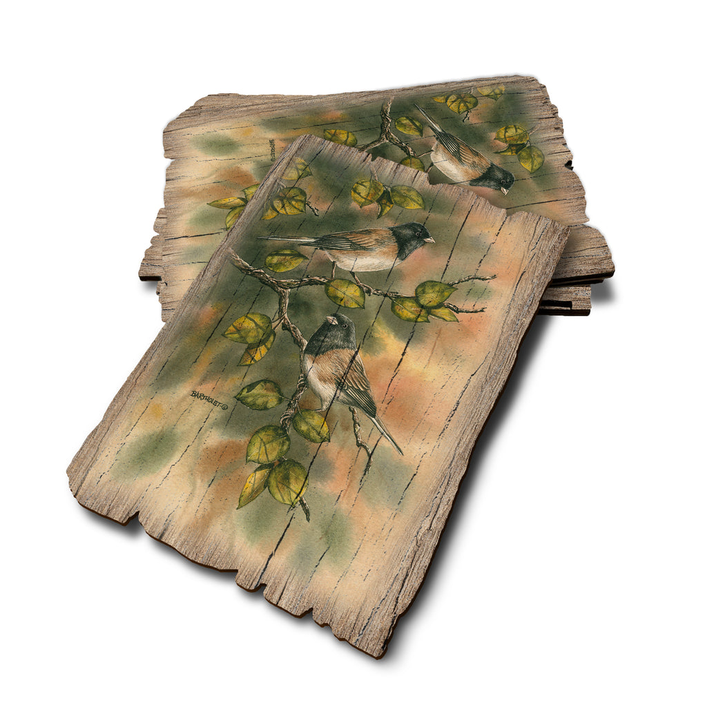 Bartholet's Juncos - Weathered Edge Rustic Edge Postcard (5pk // $2.80ea)