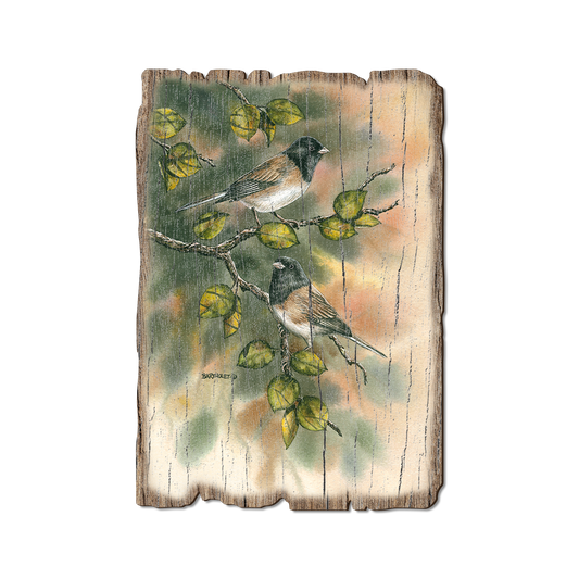 Greeting Card: Weathered Edge - Bartholet's Juncos