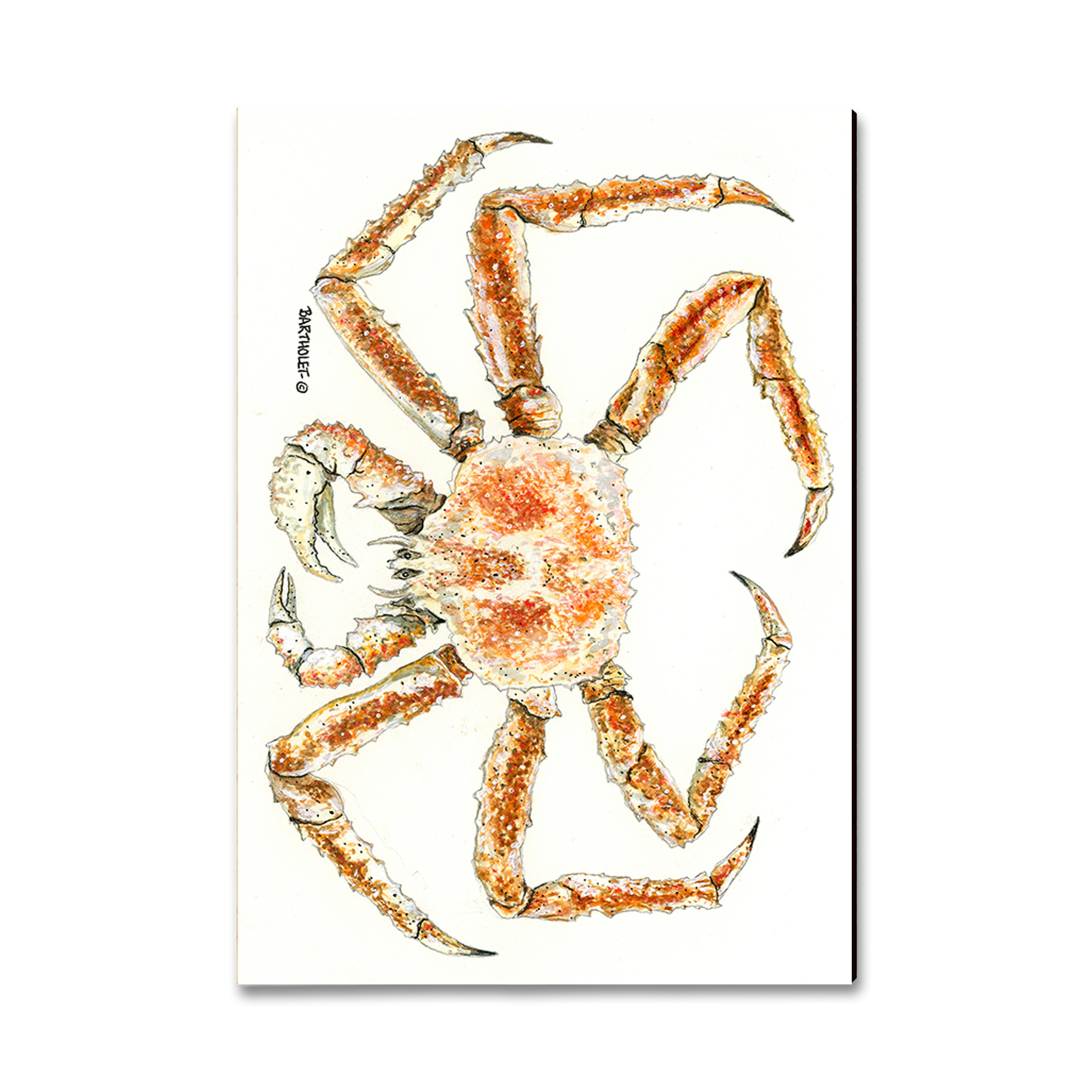 Magnet: Classic Edge - Bartholet's King Crab