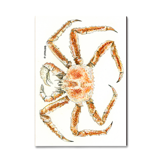 Magnet: Classic Edge - Bartholet's King Crab