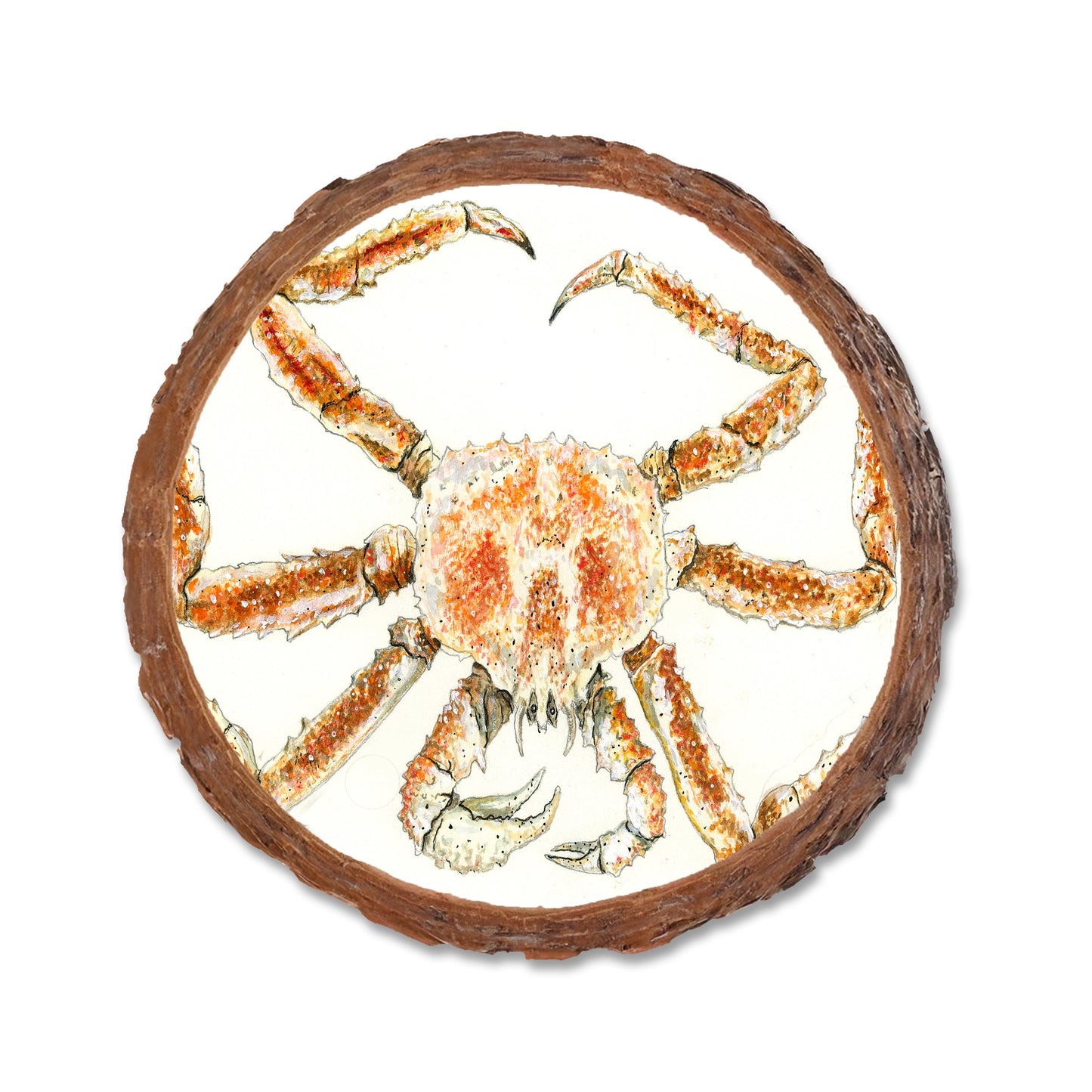 Bartholet's King Crab - Live Edge Magnet Live Edge Coaster (5pk // $2.80ea)