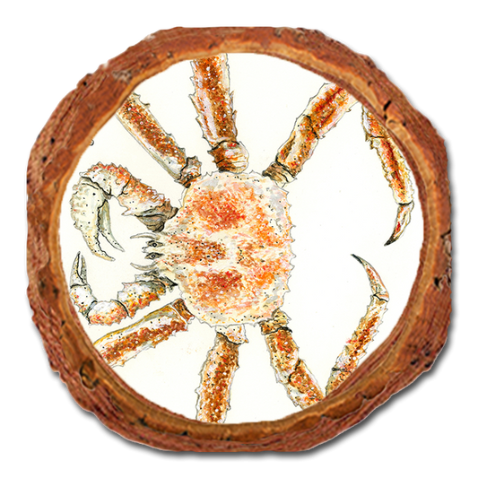 Coaster: Live Edge - Bartholet's King Crab (Pack of 5)