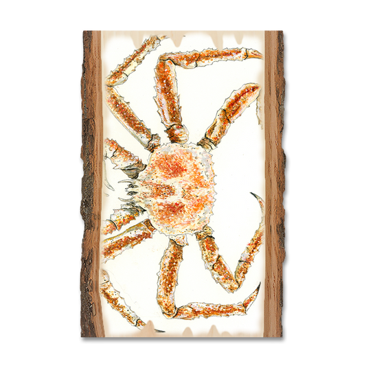 Greeting Card: Live Edge - Bartholet's King Crab