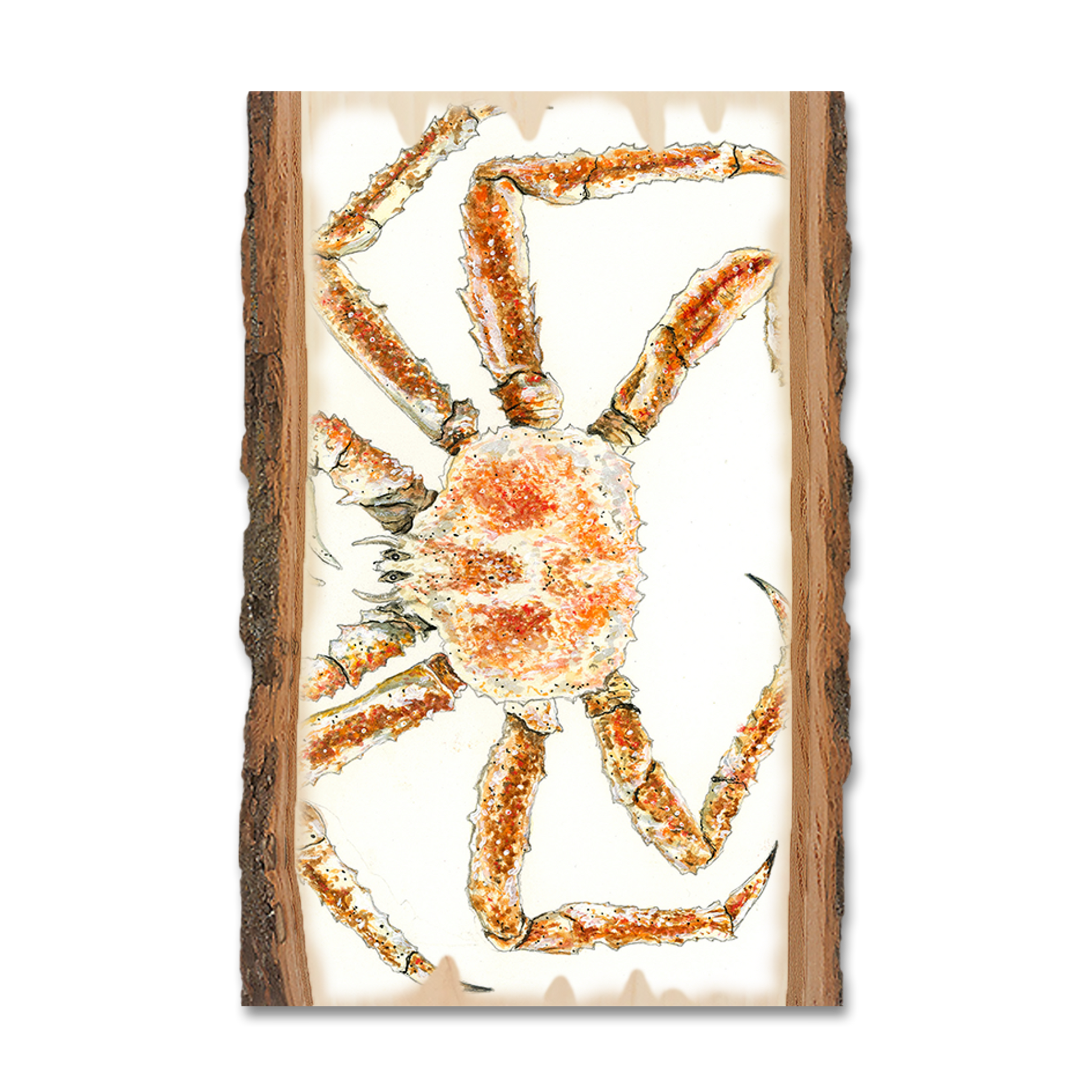 Magnet: Live Edge - Bartholet's King Crab