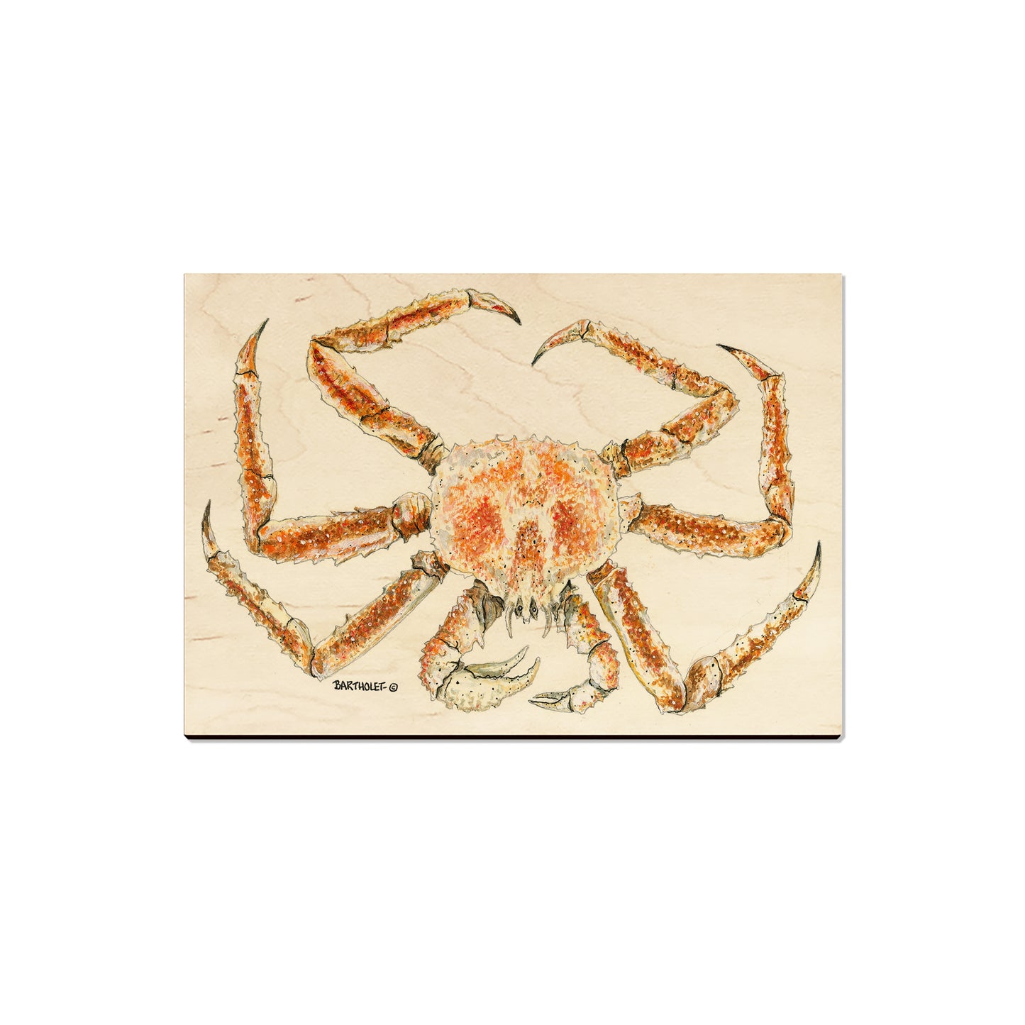 Bartholet's King Crab - Magnet Classic Edge Magnet (5pk // $2.80ea)