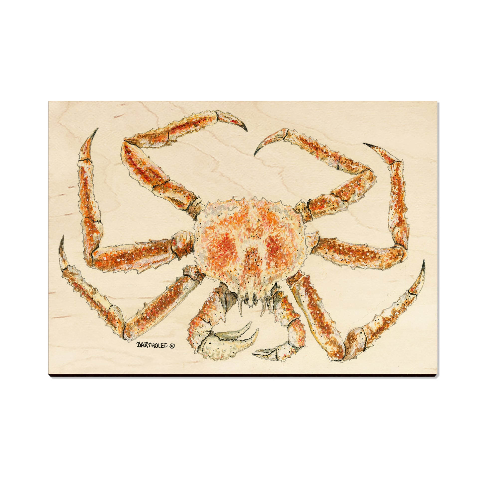 Bartholet's King Crab - Magnet Classic Edge Postcard (5pk // $2.80ea)