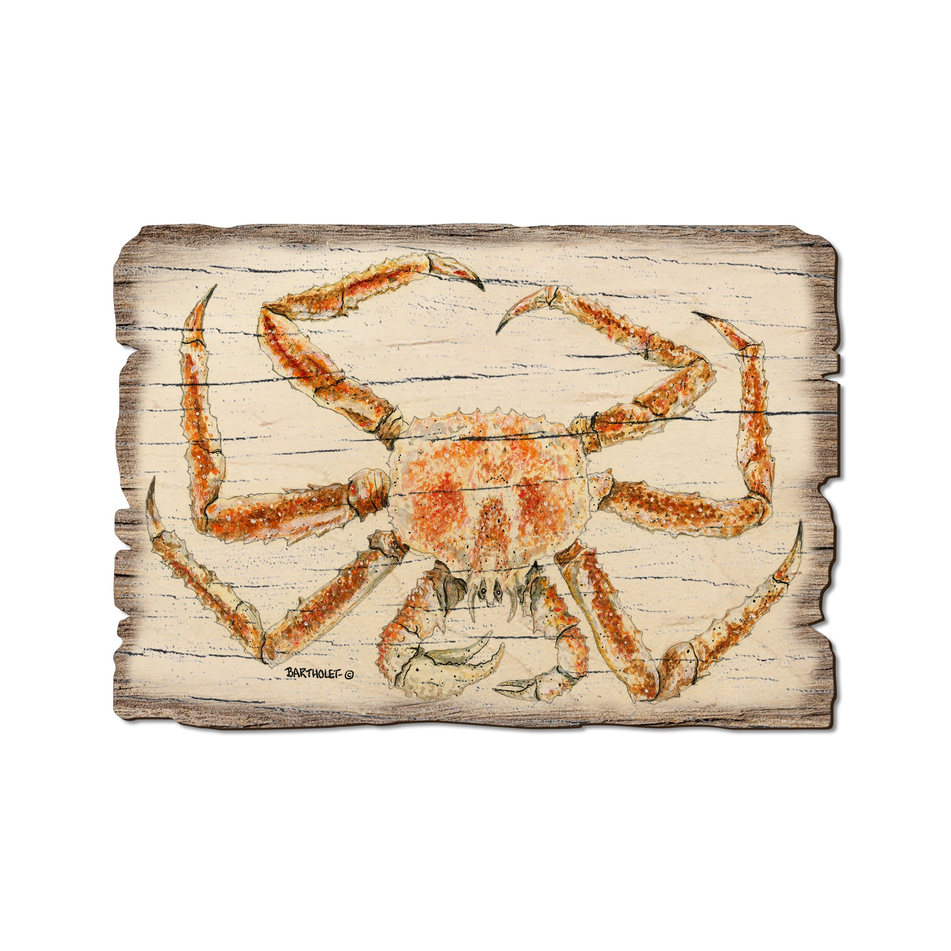 Bartholet's King Crab - Weathered Edge Magnet Weathered Edge Postcard (5pk // $2.80ea)