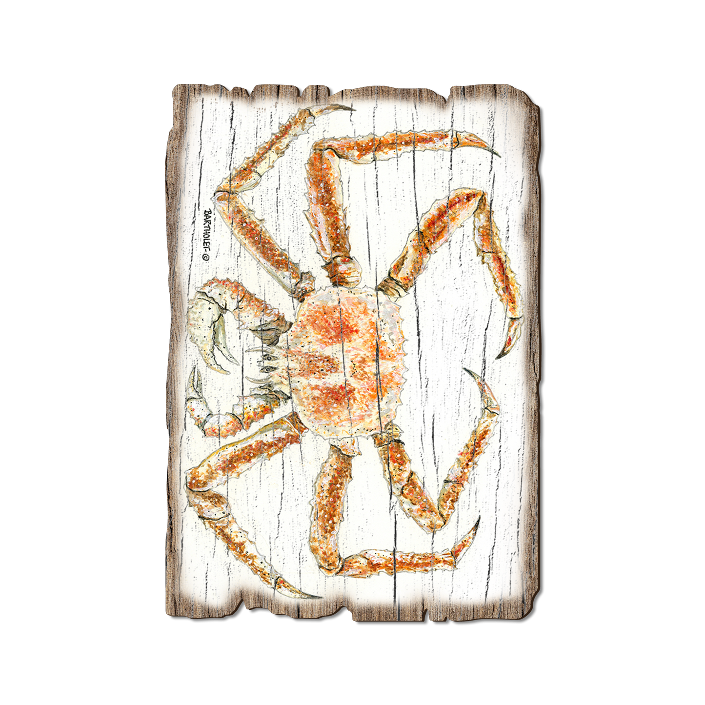 Greeting Card: Weathered Edge - Bartholet's King Crab (Pack of 5)