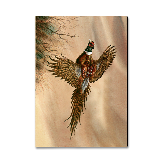 Magnet: Classic Edge - Bartholet's Kaleidoscope Pheasant