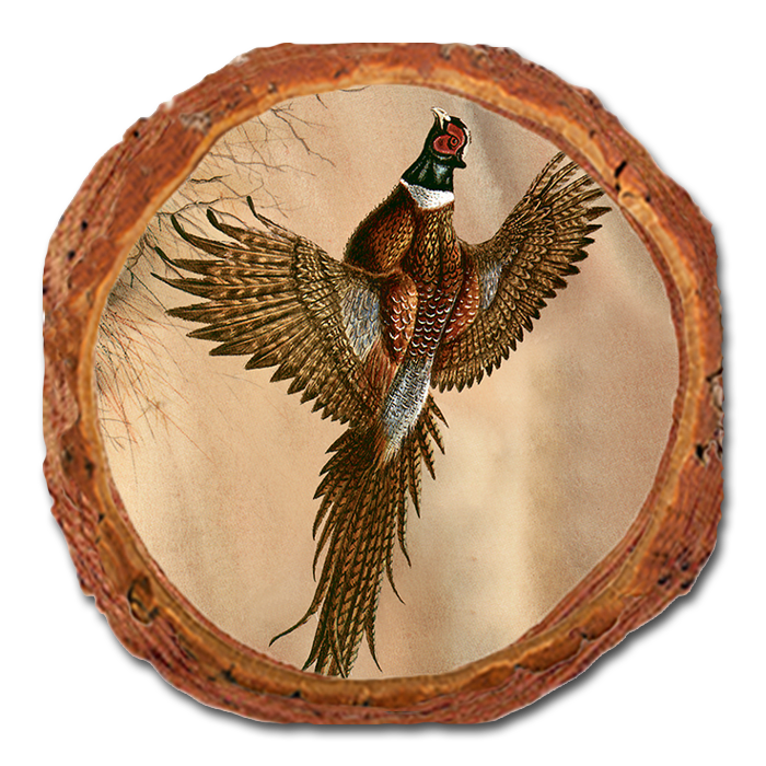 Coaster: Live Edge - Bartholet's Kaleidoscope Pheasant