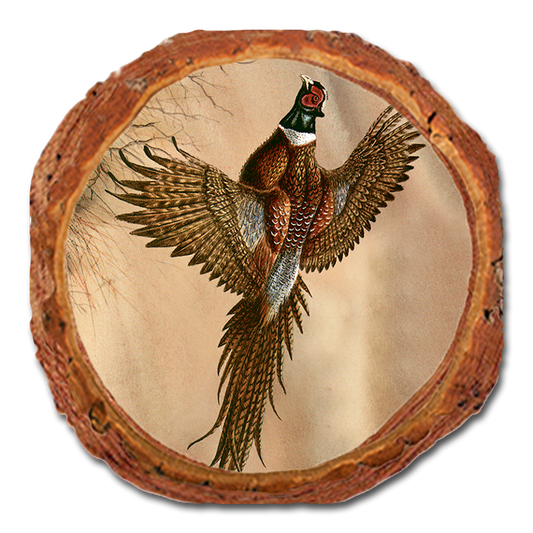Coaster: Live Edge - Bartholet's Kaleidoscope Pheasant