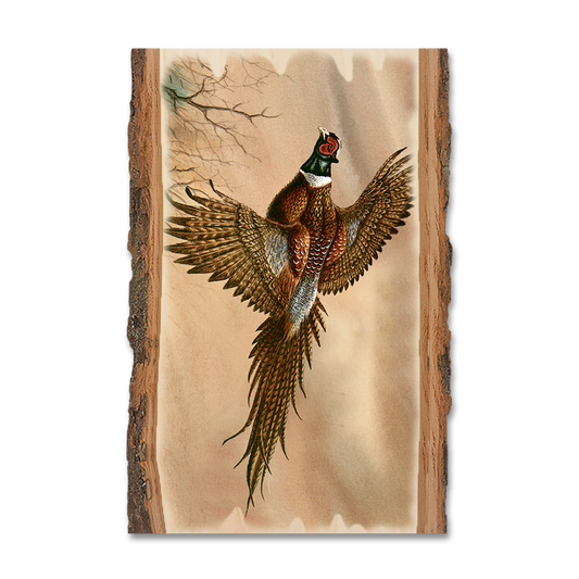 Greeting Card: Live Edge - Bartholet's Kaleidoscope Pheasant