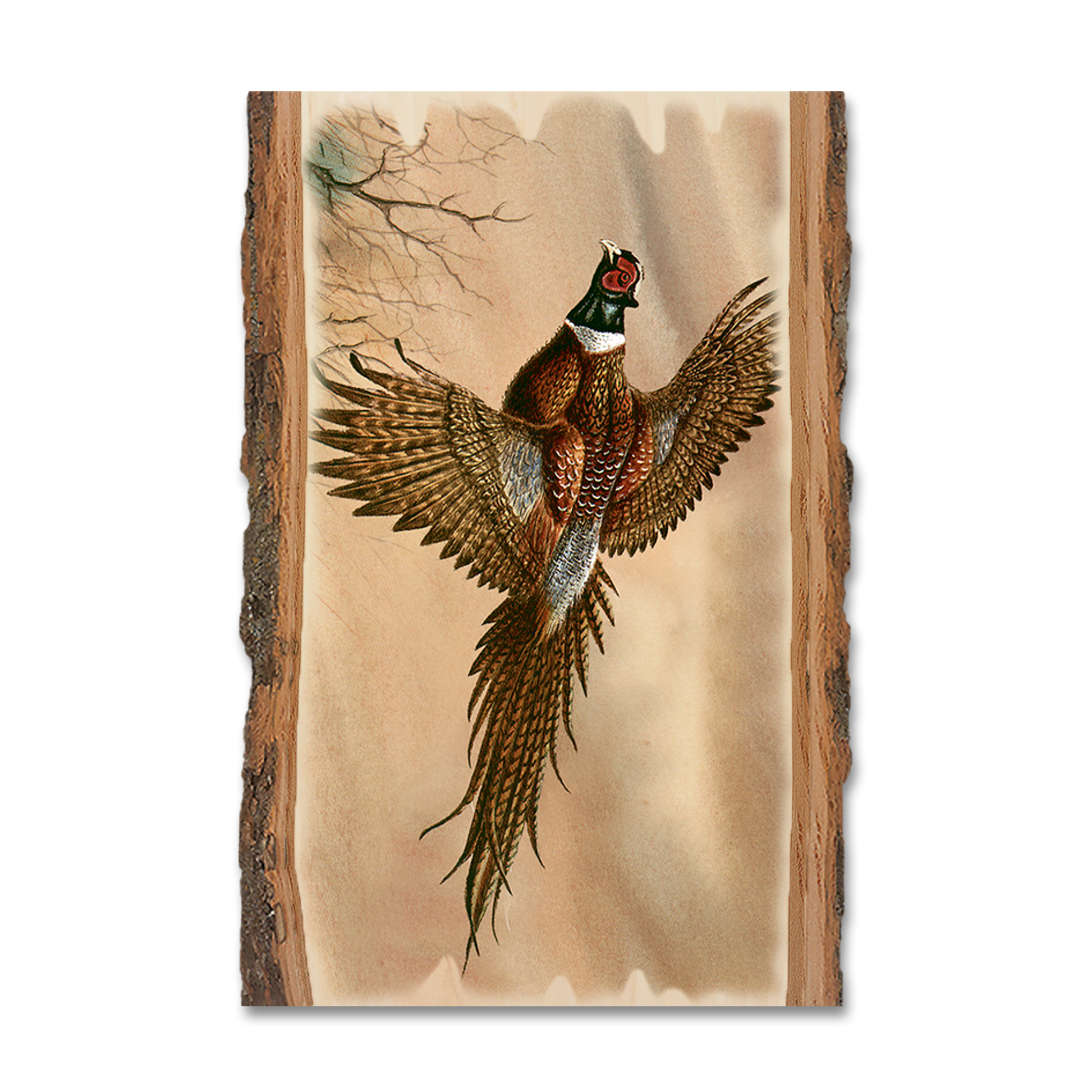 Ornament: Live Edge - Bartholet's Kaleidoscope Pheasant