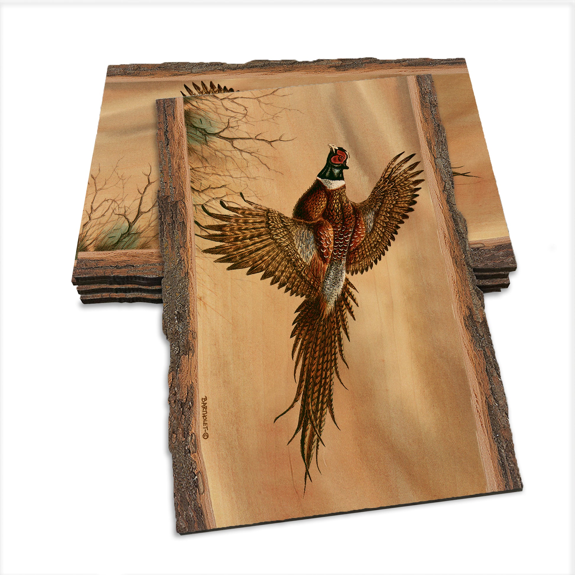 Bartholet's Kaleidoscope Pheasant  - Live Edge Live Edge Postcard (5pk // $2.80ea)