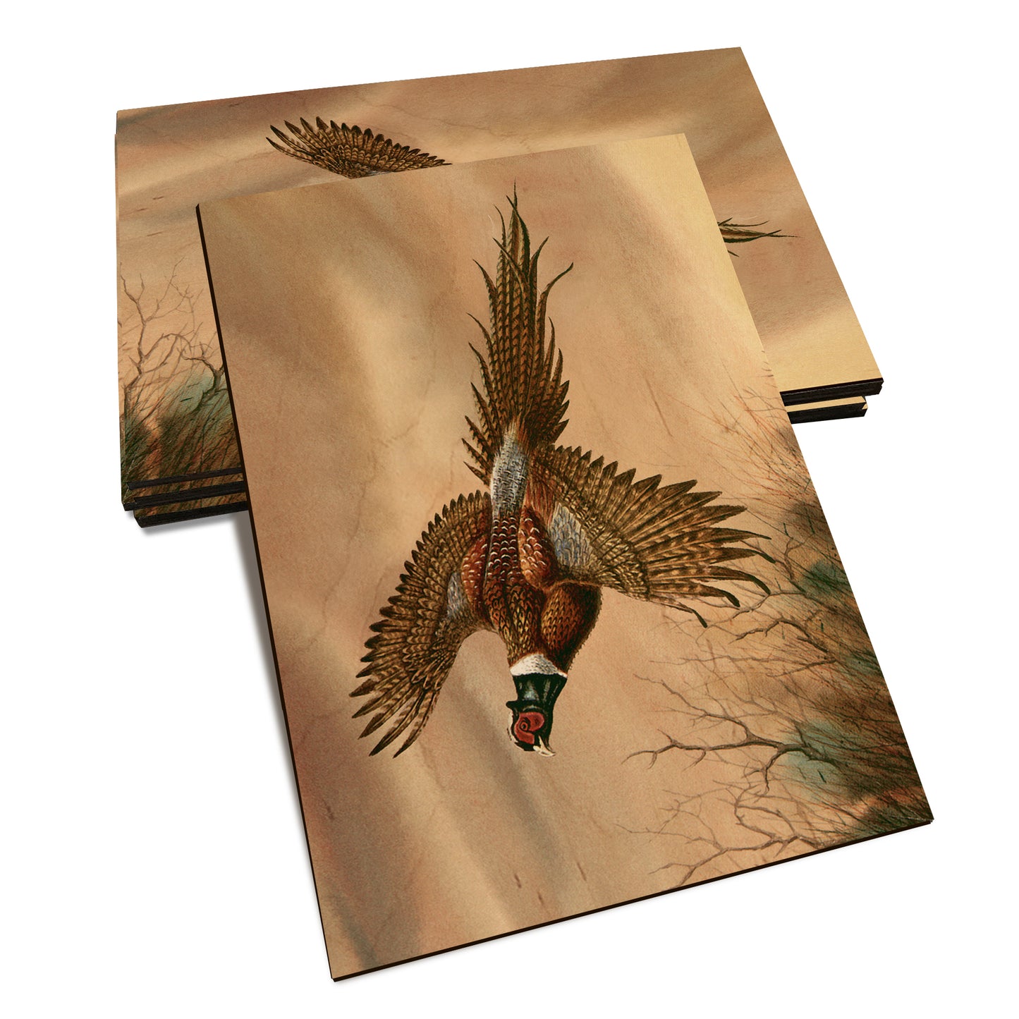 Bartholet's Kaleidoscope Pheasant  - Classic Edge Classic Edge Postcard (5pk // $2.80ea)