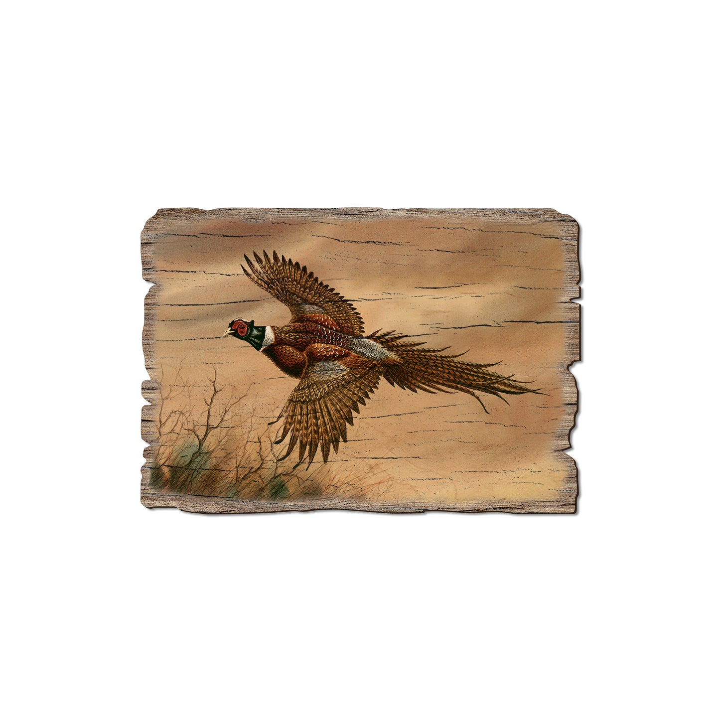Bartholet's Kaleidoscope Pheasant - Rustic Edge Postcards & Magnets Rustic Edge Magnet (5pk // $2.80ea)
