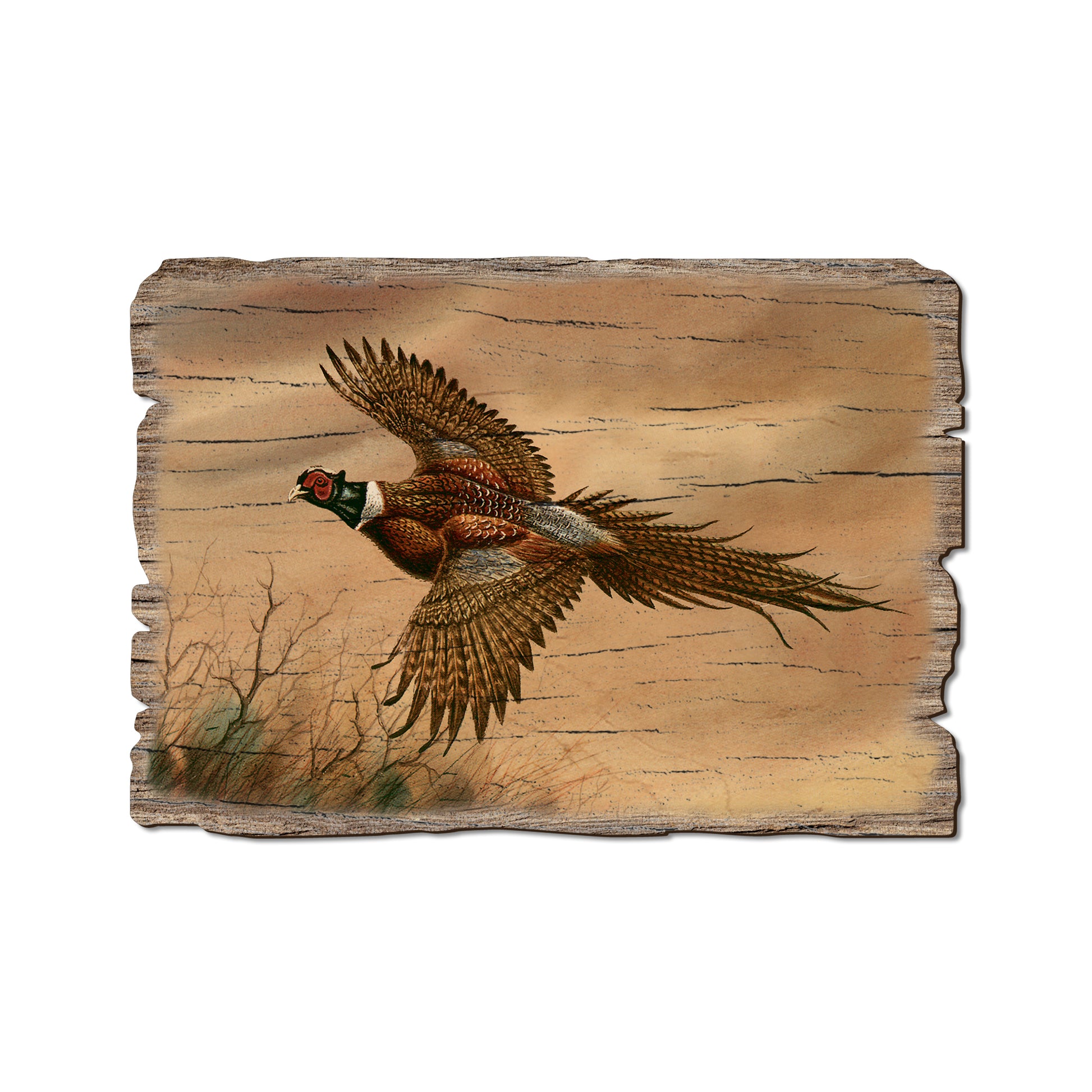 Bartholet's Kaleidoscope Pheasant - Rustic Edge Postcards & Magnets Rustic Edge Postcard (5pk // $2.80ea)