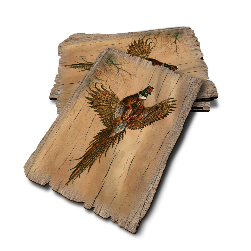 Bartholet's Kaleidoscope Pheasant - Weathered Edge Rustic Edge Postcard (5pk // $2.80ea)