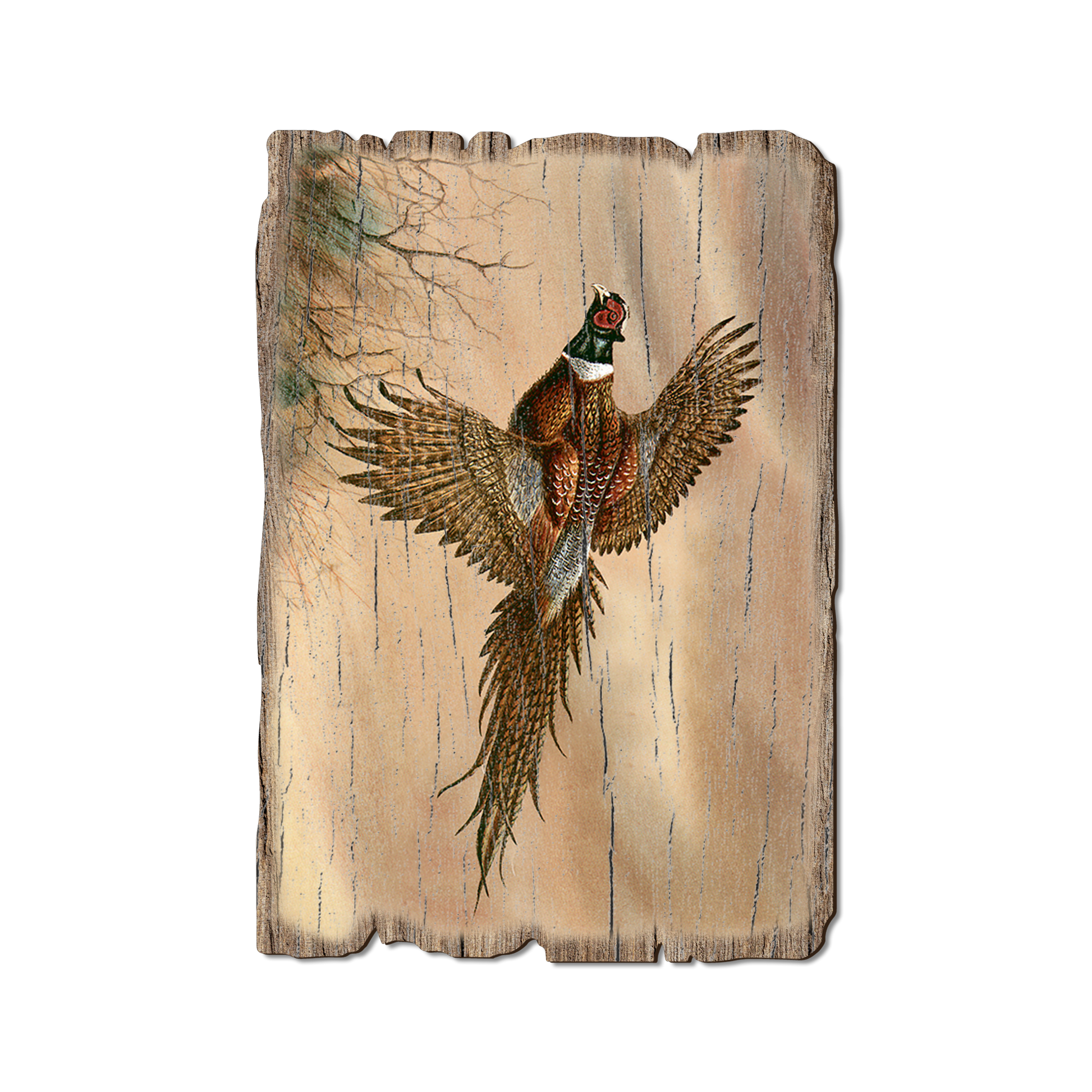 Postcard: Weathered Edge - Bartholet's Kaleidoscope Pheasant