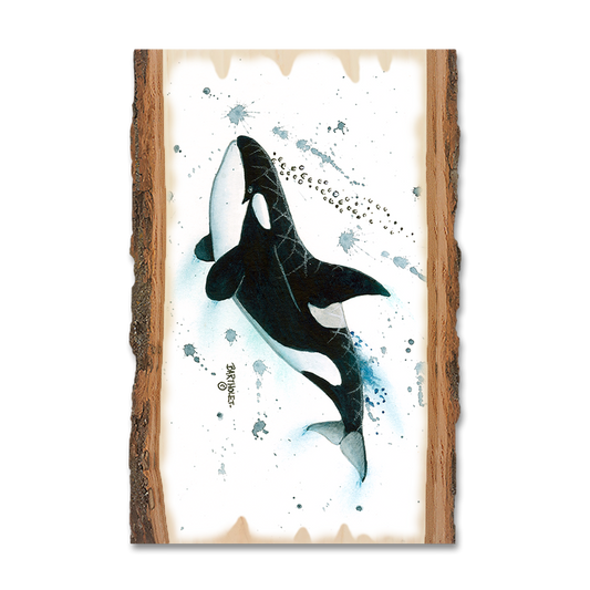 Magnet: Live Edge - Bartholet's Killer Whale